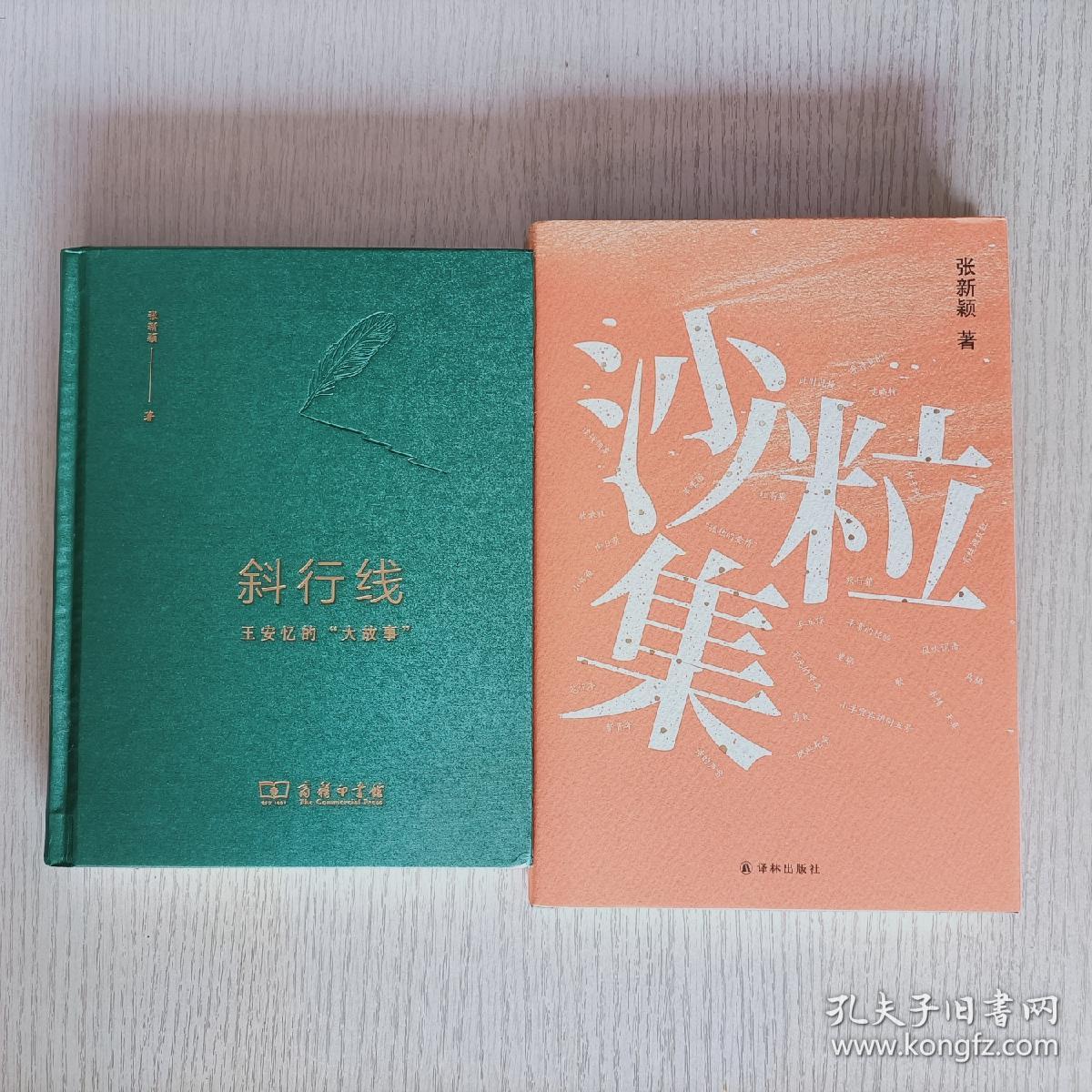 张新颖2本合售:《沙粒集》+《斜行线》【两本皆精装】