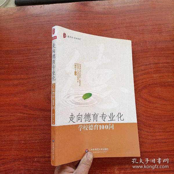 大夏书系·走向德育专业化：学校德育100问