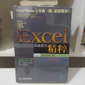 Excel实战技巧精粹