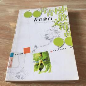 青春独白