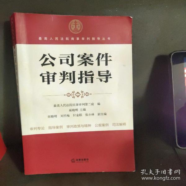 最高人民法院商事审判指导丛书：公司案件审判指导