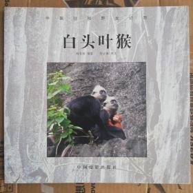 中国珍稀野生动物——白头叶猴