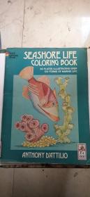 SEASHORE LIFE COLORING BOOK