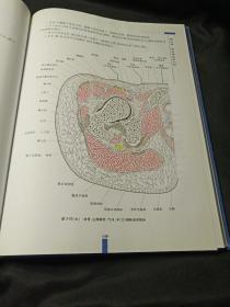 “十一五”重点图书：危险穴位临床解剖学