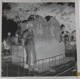 【老底片】（48826）大连星海公园