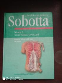 Sobotta人体解剖学图谱 下卷