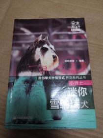 爱宠嘉年华系列丛书：小勇士·迷你雪纳瑞犬