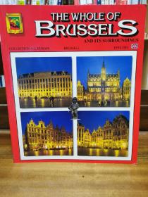 布鲁塞尔：历史、建筑与文化 
178 Colur Illustrations全彩画册 (国家与城市) 英文原版书