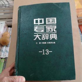 中国专家大辞典-13