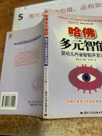 哈佛多元智能：婴幼儿内省智能开发训练  32开