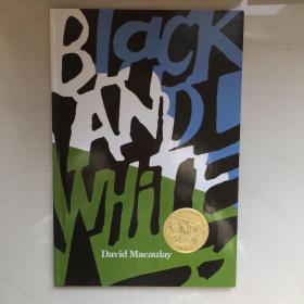 Black and White  黑和白 儿童绘本