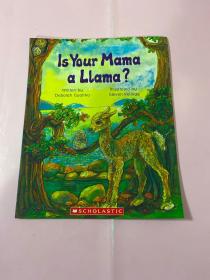 Is Your Mama a Llama?  你的妈妈是驼羊吗？