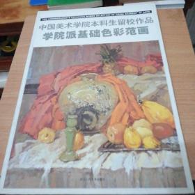 学院派基础色彩范画-中国美术学院本科生留校作品