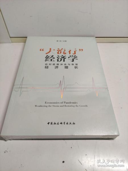 “大流行”经济学——应对疫情冲击与恢复经济增长