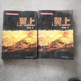 翼上（上下册）中国现代军事文学丛书