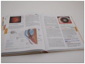 Human Anatomy & Physiology 人体解剖与生理学 英文原版