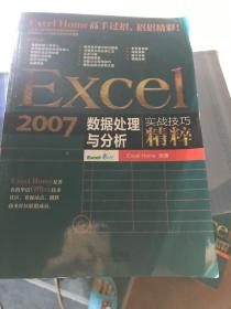 Excel 2007数据处理与分析实战技巧精粹