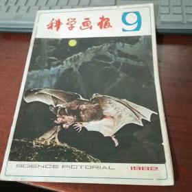 科学画报1982年第9期