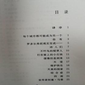 20世纪世界诗歌译丛：马里奥.贝内德蒂诗选（一版一印）