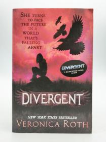 Divergent 英文原版-《分歧者》