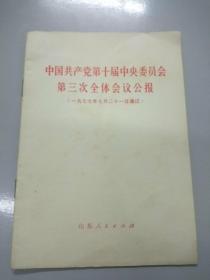 中国共产党第十届中央委员会第三次全体会议公报