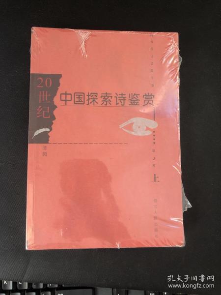 20世纪中国探索诗鉴赏