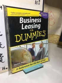 Business Leasing For Dummies? 英文原版 实拍品佳