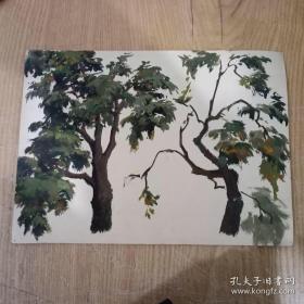 无款水彩画