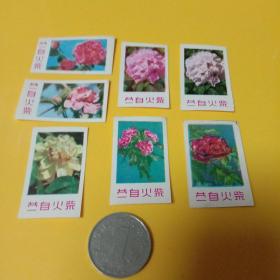 蒙自火柴 花卉