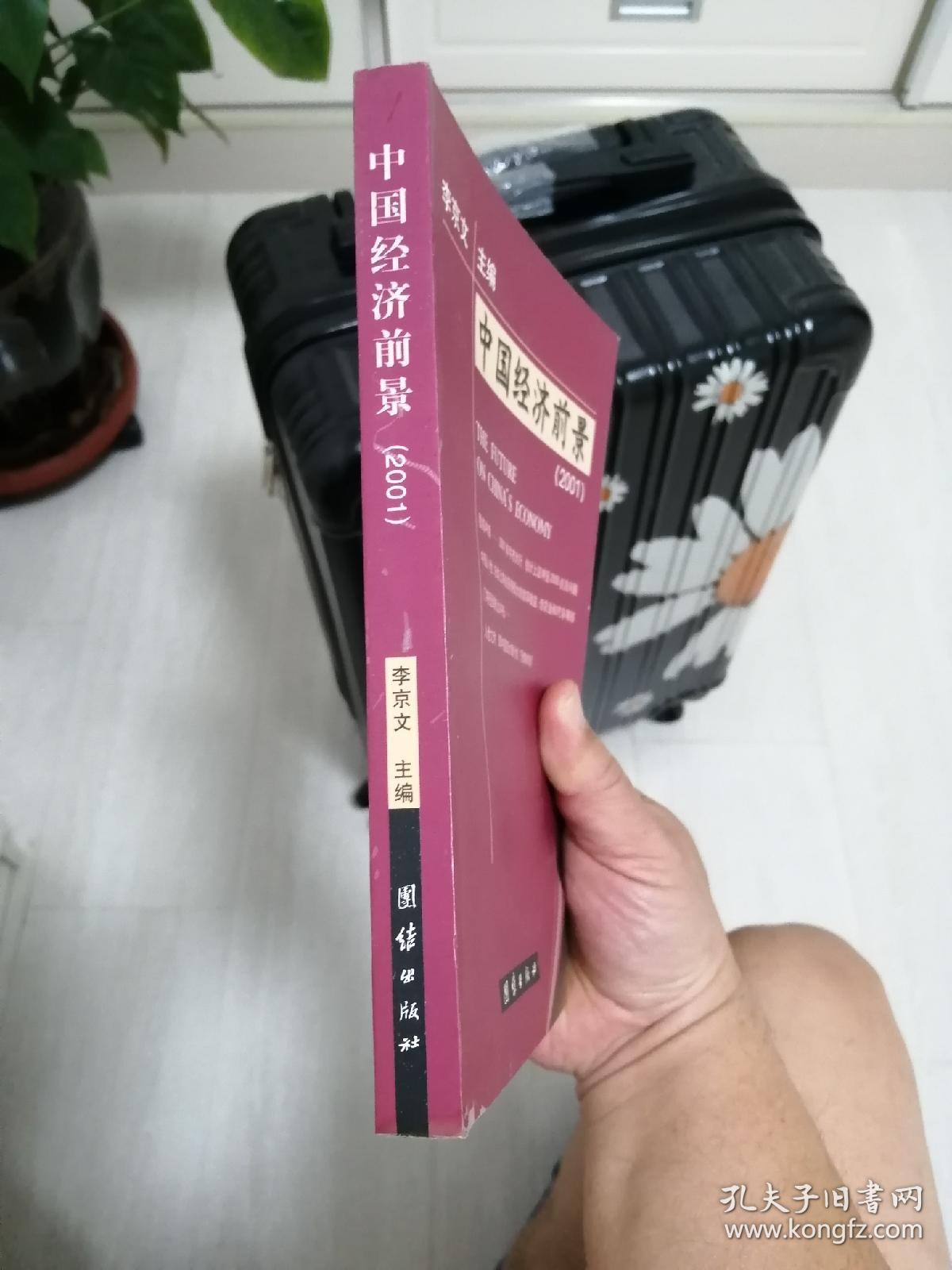 中国经济前景:2001