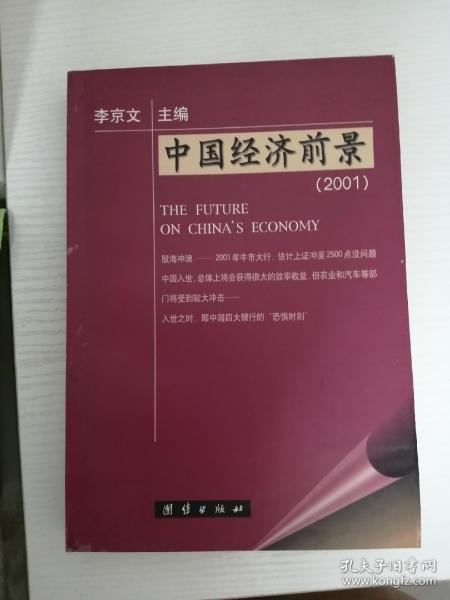 中国经济前景:2001