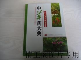 中草药大典-原色中草药植物图鉴(上下册)