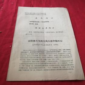 在阶级斗争的大风大浪中炼红心 1969年最高指示 林副主席林彪指示 杭州钢铁厂技术员