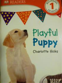 英文原版 少儿百科绘本 DK Readers: Playful Puppy 顽皮的小狗