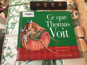 Ce que Thomas Voit