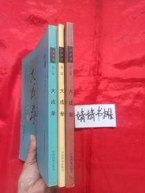 大成拳.三卷(正版.心意太极八卦内家拳精典书籍,习练大成站桩参考精典)实物拍照.