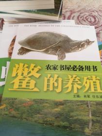 鳖的养殖