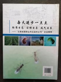 烟蚜茧蜂：规模繁殖与应用