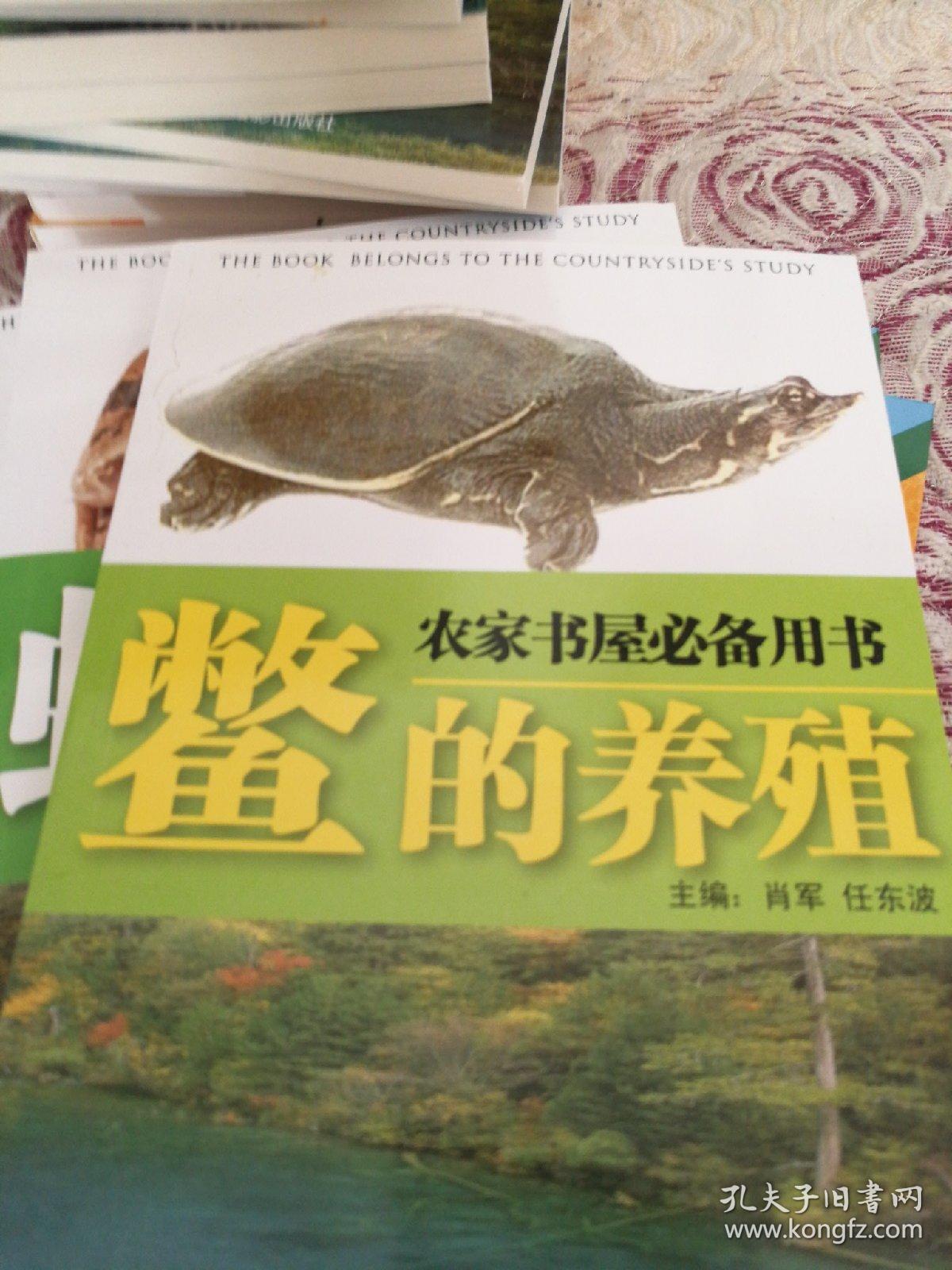 鳖的养殖