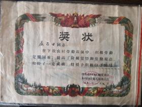 奖状（1958年）