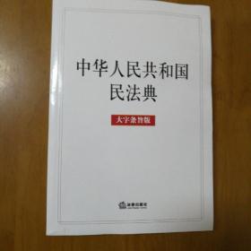 中华人民共和国民法典（大字条旨版）2020年6月
