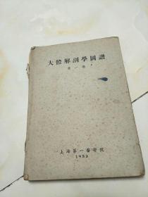 大体解剖学图谱1953