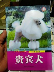 贵宾犬(加训狗光盘)