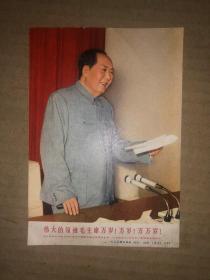彩色画片 伟大的领袖毛主席万岁！万岁！万万岁！ 伟大领袖毛主席主持中国共产党第九届中央委员会第一次全体会议，并且作了极其重要的讲话 人民美术出版社