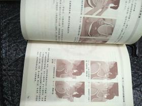 图解三通疗法:通气通血通经络的现代手法诠释