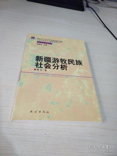 新疆游牧民族社会分析——民族博士文库