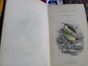 THE NATURALIST's LIBRARY ORNITHOLOGY VOL.X 1838年英文版 精装 50623-1-13B书后空白印图案页脱落