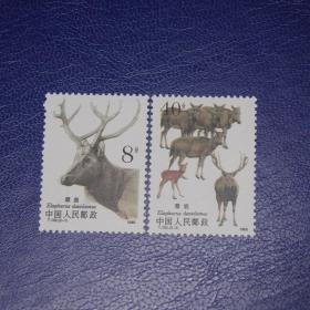 【惜墨舫】T132 麋鹿邮票 集邮 成套邮票 新中国邮票 JT票 纪念邮票 特种邮票 保真原胶邮票 儿时童年记忆 怀旧岁月 回忆往事 收藏珍藏 70后80后90后喜欢的商品