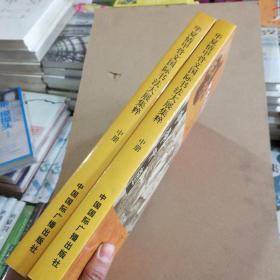 华夏情甲骨文国际书法大展集粹  中册（九五品）