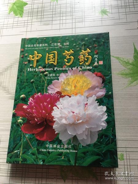 中国芍药